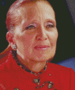 Danielle Steel Diamond Painting