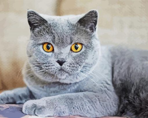 Fluffly Grey Cat Diamond Painting