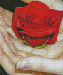 Giving A Rose Diamond Painting