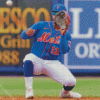 New York Mets Baseball Diamond Painting