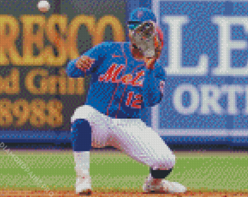 New York Mets Baseball Diamond Painting