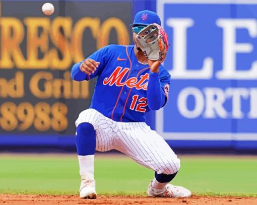 New York Mets Baseball Diamond Painting