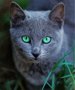 Adorable Russian Cat Diamond Painting