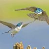 Flying Swallow Birds Diamond Painting