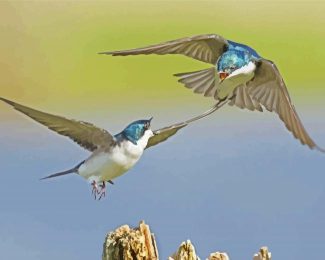 Flying Swallow Birds Diamond Painting