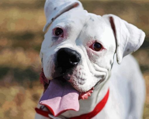 White Boxer Dog Diamond Painting