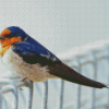 Adorable Swallow Bird Diamond Painting