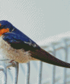 Adorable Swallow Bird Diamond Painting