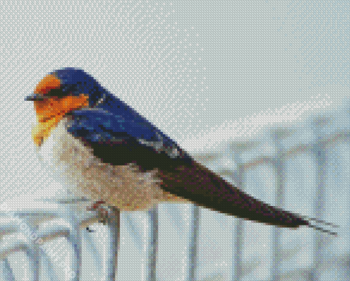 Adorable Swallow Bird Diamond Painting