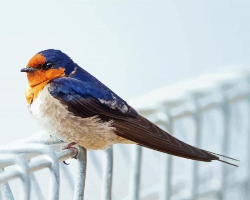 Adorable Swallow Bird Diamond Painting