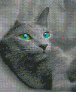 Russian Blue Cat Diamond Painting