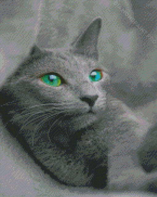 Russian Blue Cat Diamond Painting
