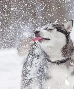 Adorable Winter Dog Diamond Painting