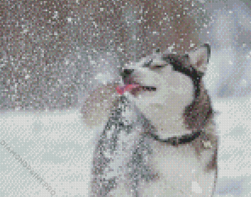 Adorable Winter Dog Diamond Painting