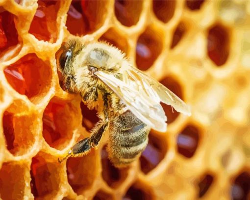 Aesthetic Honeycomb And Bee Diamond Painting