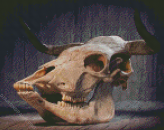 Bull Skull Diamond Painting