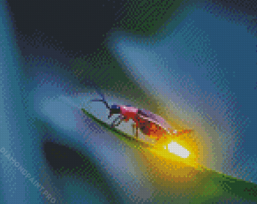 Adorable Firefly Insect Diamond Painting