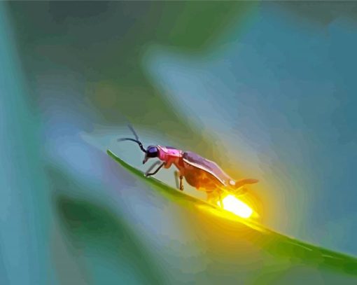 Adorable Firefly Insect Diamond Painting