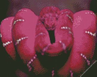 Hot Pink Snake Diamond Painting