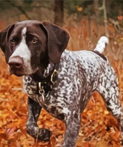Adorable German Shorthaired Diamond Painting