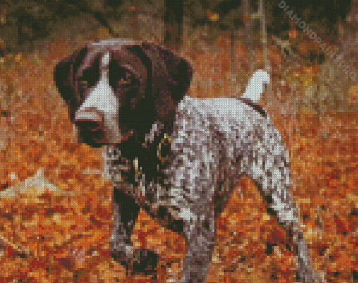 Adorable German Shorthaired Diamond Painting