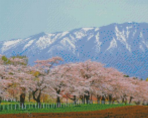 Japan Cherry Blossom Garden Diamond Painting