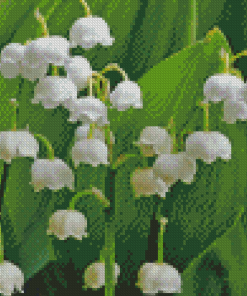 Lilly Of The Vallyes Diamond Painting