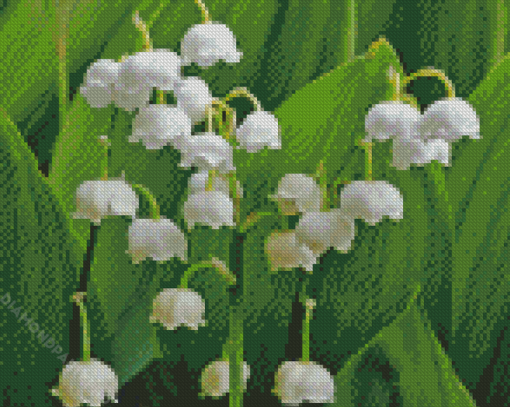 Lilly Of The Vallyes Diamond Painting