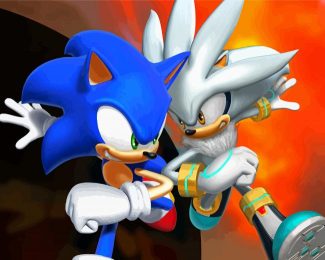 Silver The Hedgehog And Sonic Diamond Painting