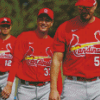 St Louis Cardinals Players Diamond Painting