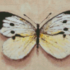 White Butterfly Diamond Painting