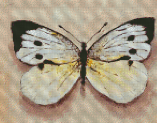White Butterfly Diamond Painting
