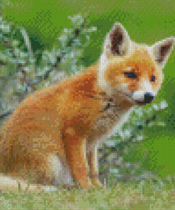 Aesthetic Fox Cub Diamond Painting