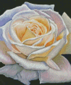 Aesthetic White Rose Art Diamond Painting