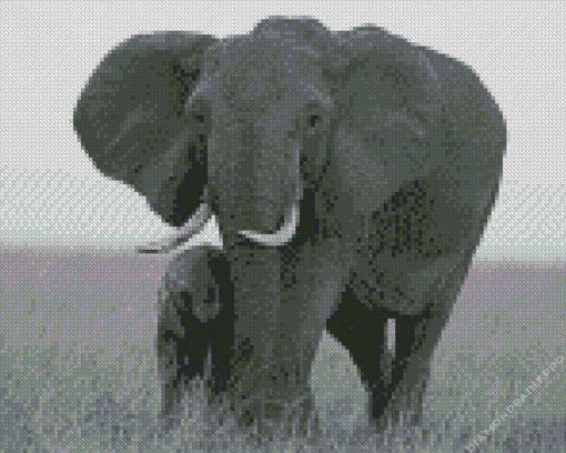 Black And White Mama And Baby Elephant Diamond Painting
