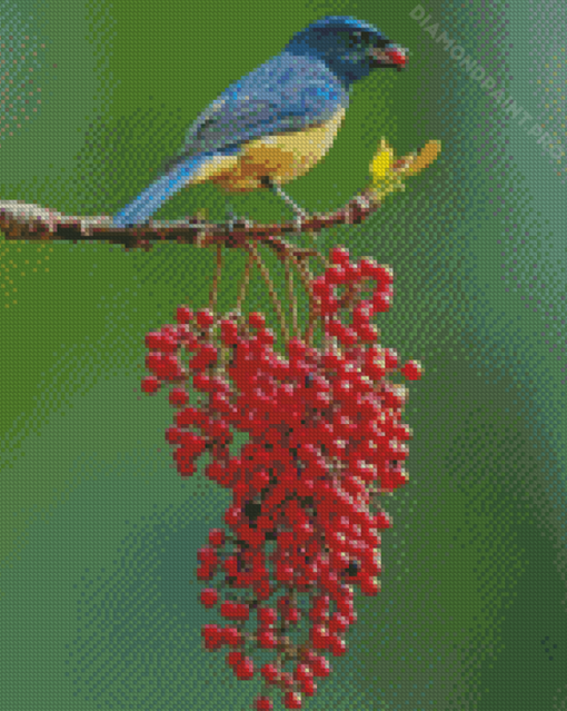 Colorful Singing Bird Diamond Painting