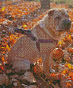 Leash Dog On Leaves Diamond Painting