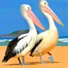 Pelicans Birds Diamond Painting