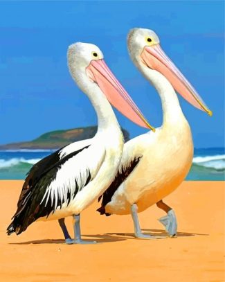 Pelicans Birds Diamond Painting