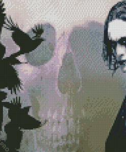 The Crow Skull Diamond Painting