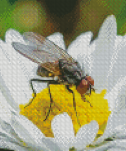 White Fly On The Flowers Diamond Painting