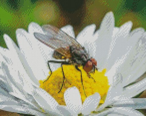 White Fly On The Flowers Diamond Painting