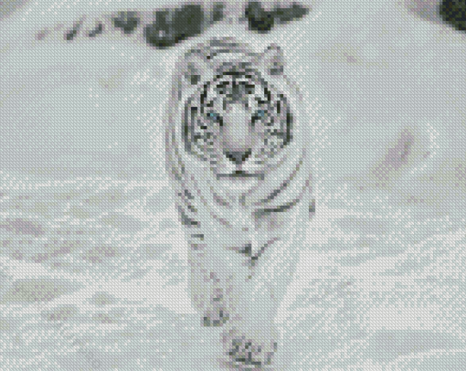 White Siberian Tiger Art Diamond Painting