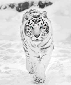 White Siberian Tiger Art Diamond Painting
