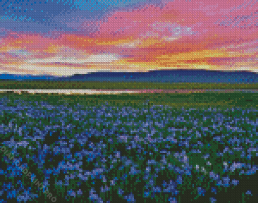 Wild Blue Iris Field Diamond Painting