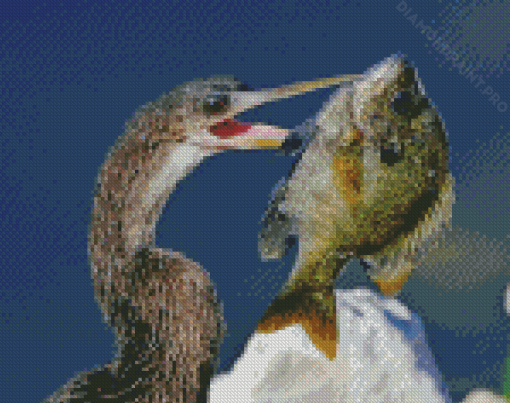 A Bird Catching Bluegill Diamond Painting