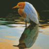 Aesthetic Birds In Water Diamond Painting
