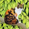 Cat And Leaves Art Diamond Painting