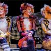 Cats The Musical Diamond Painting