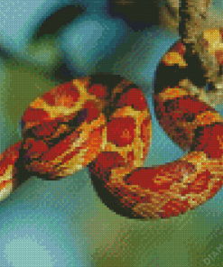 Corn Snake Diamond Painting